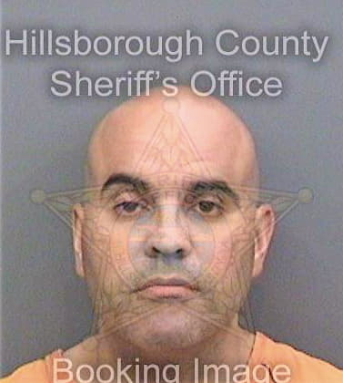 Blandon Julio - Hillsborough County, FL 