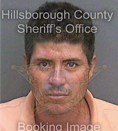 Villegashernandez Abelardo - Hillsborough County, FL 