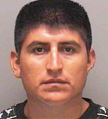 Perez Manolo - Lee County, FL 