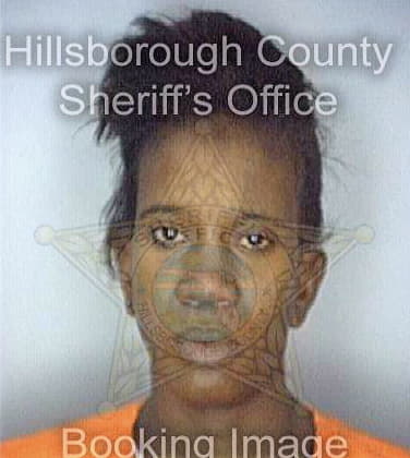 Donaldson Kimberlyn - Hillsborough County, FL 