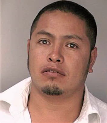 Mendozaorozco Nicolas - Hillsborough County, FL 