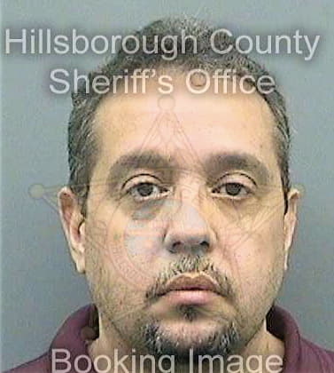 Velez Reynaldo - Hillsborough County, FL 