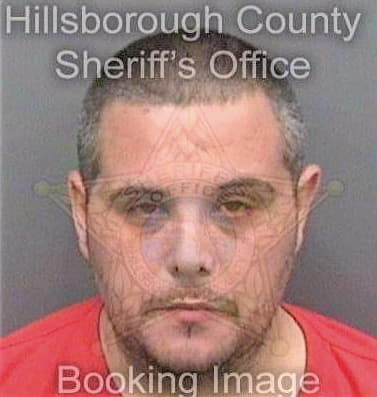 Lugo David - Hillsborough County, FL 