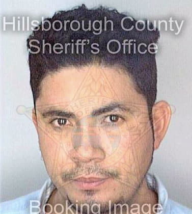 Castillocisneros Guillermo - Hillsborough County, FL 