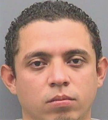 Sanchezsantos Edgar - Hillsborough County, FL 