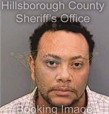 Hamilton Rodney - Hillsborough County, FL 