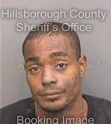 Boler David - Hillsborough County, FL 