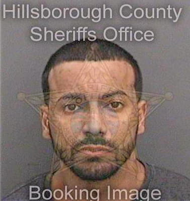 Gonzalez Ernesto - Hillsborough County, FL 