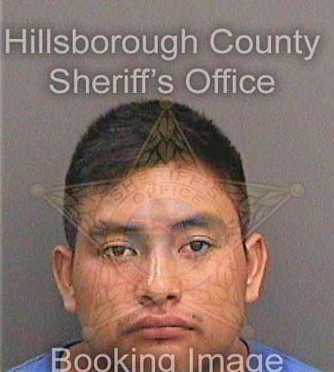 Jimenezlopez Luis - Hillsborough County, FL 