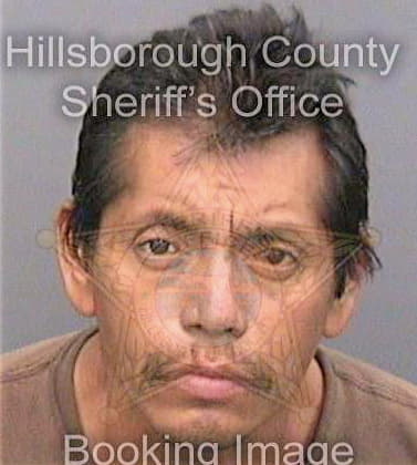 Gildardo James - Hillsborough County, FL 