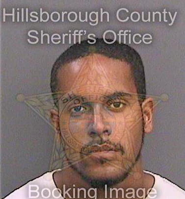 Figueroa Najae - Hillsborough County, FL 