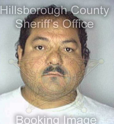 Negron Roberto - Hillsborough County, FL 