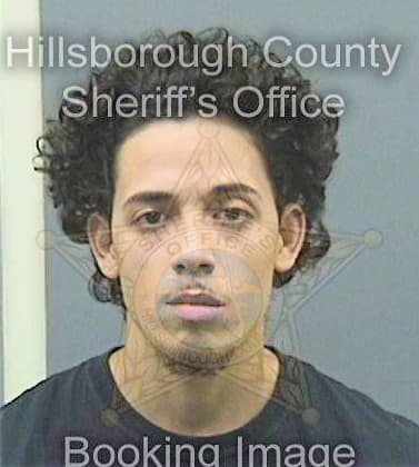 Collazo Rafael - Hillsborough County, FL 