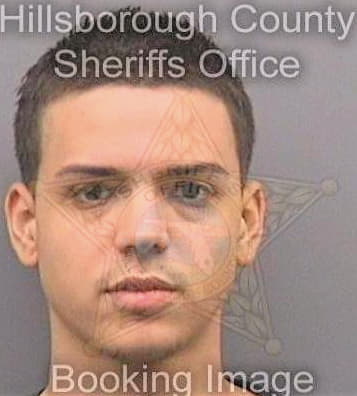 Mejia Yael - Hillsborough County, FL 