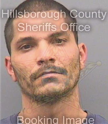 Philippus Wayne - Hillsborough County, FL 