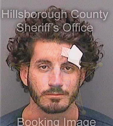 Darrigo Trey - Hillsborough County, FL 