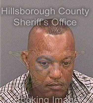 Richardsongarcia Wilfredo - Hillsborough County, FL 