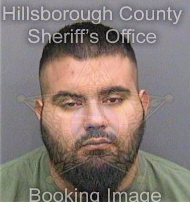 Pedrosa Juanrico - Hillsborough County, FL 