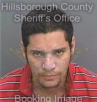 Diaz Selvin - Hillsborough County, FL 