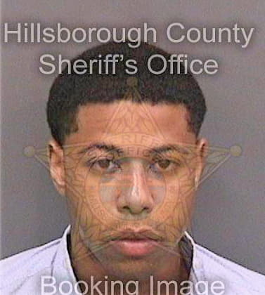 Nelson Bradley - Hillsborough County, FL 