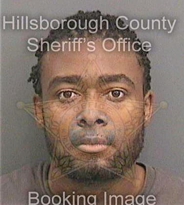 Edwards Mechardrick - Hillsborough County, FL 