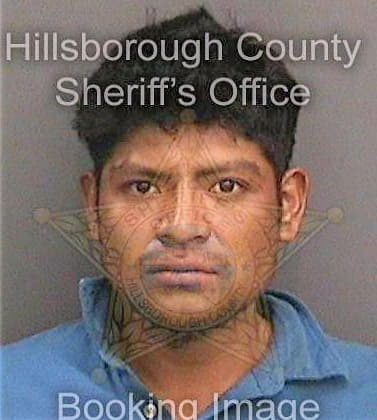 Rivasmartinez Maynor - Hillsborough County, FL 