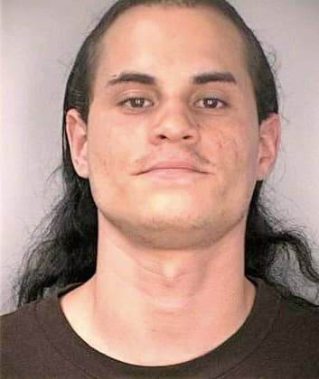 Melendezcarreras Rafael - Hillsborough County, FL 