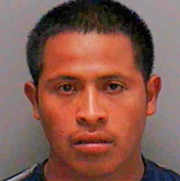 Sebastian Daniel - Lee County, FL 