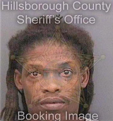 Johnson Clifford - Hillsborough County, FL 