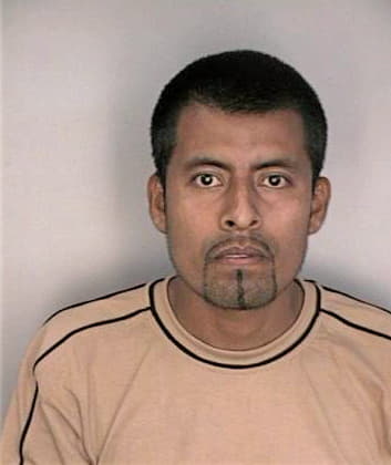 Mendoza Barnabe - Hillsborough County, FL 