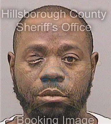 Williams Derrick - Hillsborough County, FL 