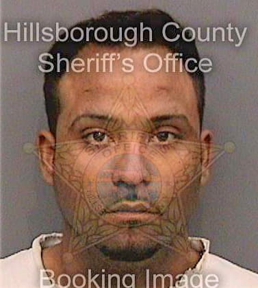 Sanchezrodriguez Moises - Hillsborough County, FL 