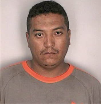 Mendezgarcia Efren - Hillsborough County, FL 