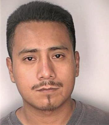 Miguelflores Irving - Hillsborough County, FL 