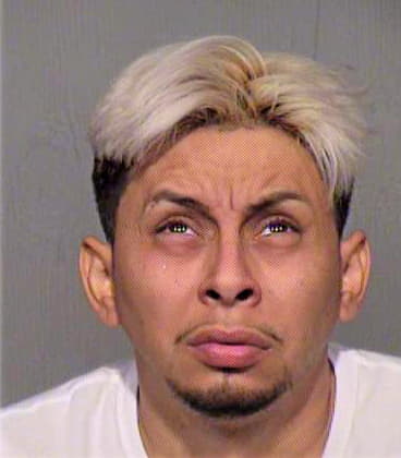 Mejia Luis - Maricopa County, AZ 