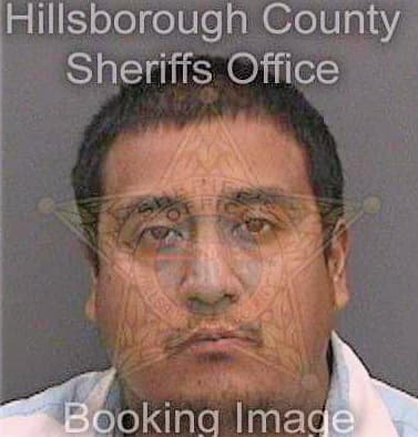 Garcia Enrique - Hillsborough County, FL 