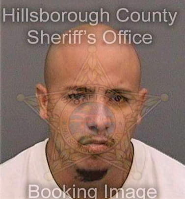 Lugo Ismael - Hillsborough County, FL 