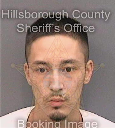 Gustafson Jay - Hillsborough County, FL 