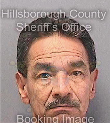 Torres Carlos - Hillsborough County, FL 