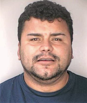 Mcdougall Heriberto - Hillsborough County, FL 