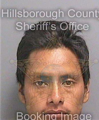 Ortiz Margarito - Hillsborough County, FL 