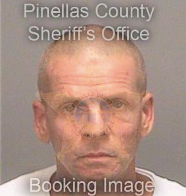 Merrill Craig - Pinellas County, FL 