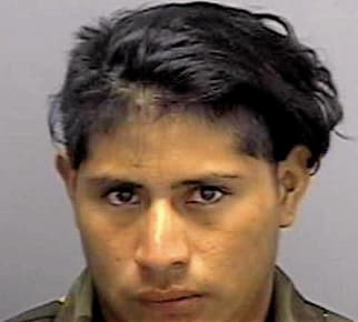 Hernandez Emiliano - Lee County, FL 