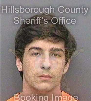Simpson Jordan - Hillsborough County, FL 
