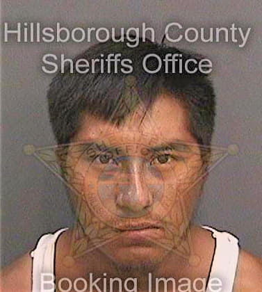 Lopezlopez Rosenado - Hillsborough County, FL 