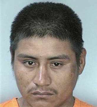 Deleon Teofilo - Hillsborough County, FL 