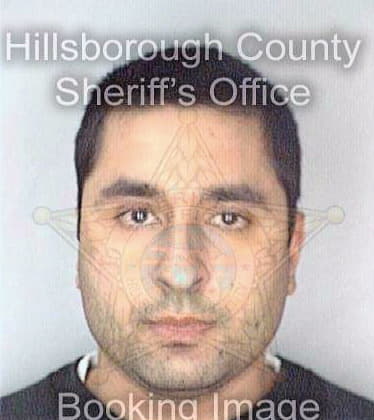 Bassi Sanjiv - Hillsborough County, FL 