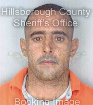 Diaz Jose - Hillsborough County, FL 