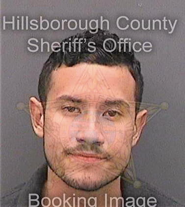 Orellanosguerrero Joshua - Hillsborough County, FL 