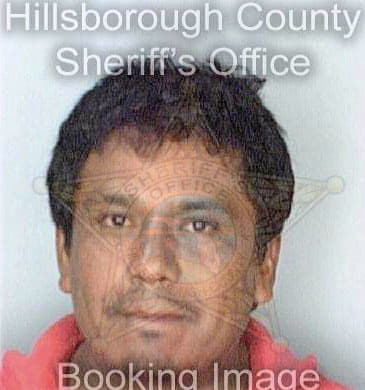 Martinez Flavio - Hillsborough County, FL 